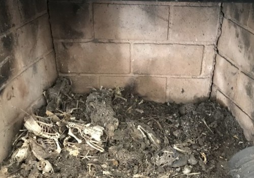 Chimney Cleaning: How Messy Is It Really?